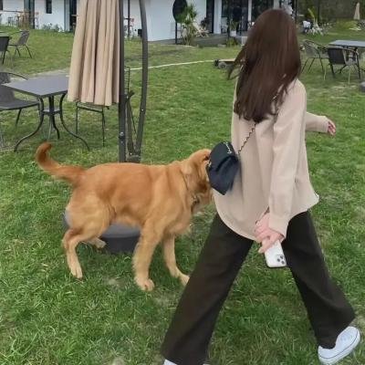 最终兵器彼女